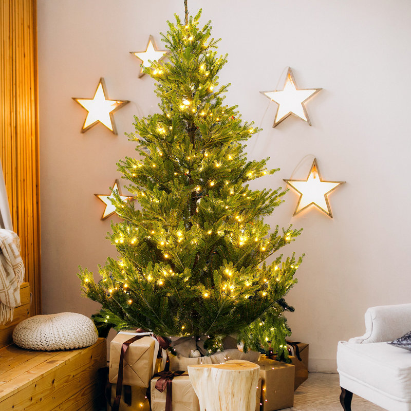 The Holiday Aisle® Lighted Fir Christmas Tree & Reviews Wayfair